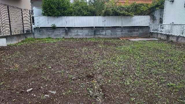 小祠（西野川四丁目）の参拝記録1