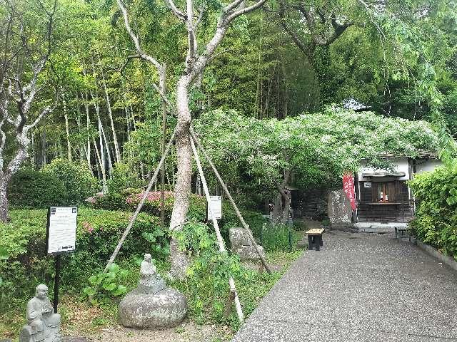 岩戸山 満願寺の参拝記録2