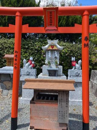 富士白玉稲荷神社の参拝記録(こまいぬおさん)