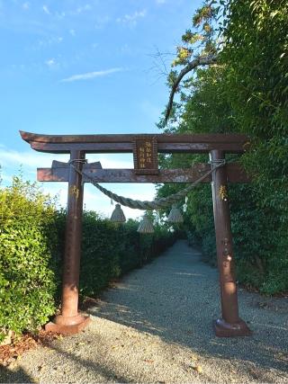 彌都加伎稲荷神社の参拝記録(qo_opさん)