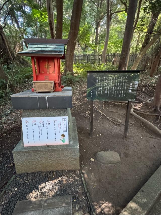 静岡県下田市白浜2740 目の神様の写真1