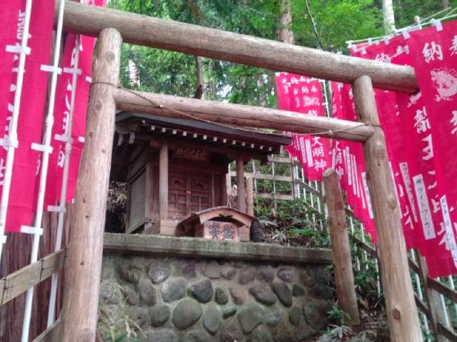 長野県諏訪市上諏訪茶臼山９５５６ 龍王大明神（手長神社境内）の写真1