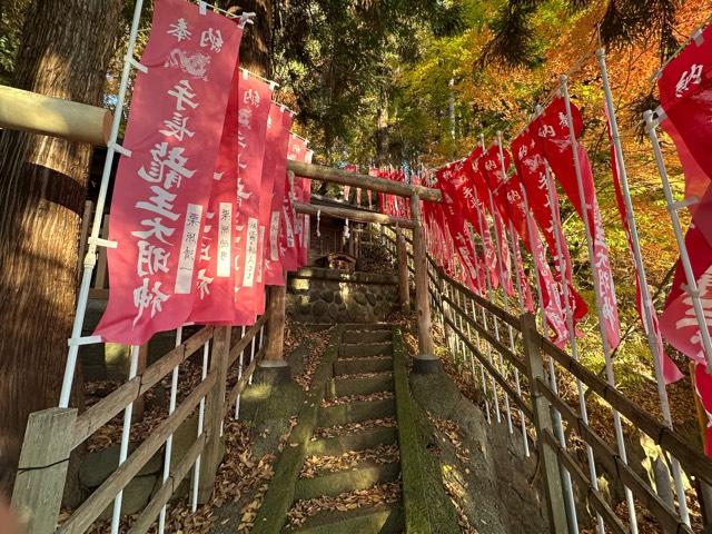 龍王大明神（手長神社境内）の参拝記録1