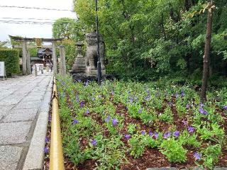 日月柱（晴明神社）の参拝記録(恭子さん)