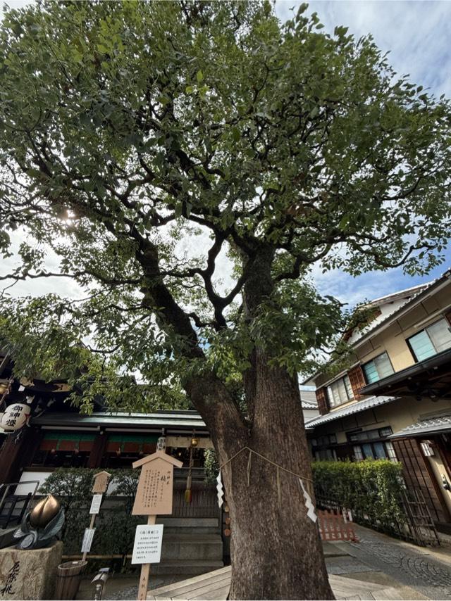 御神木(晴明神社)の参拝記録4