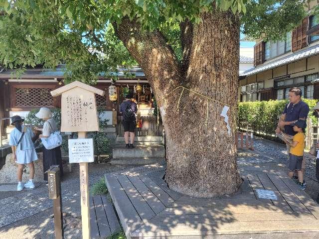 御神木（晴明神社）の参拝記録4