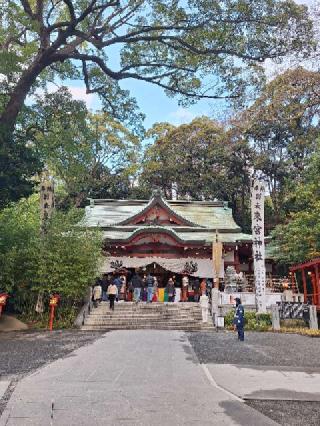 大楠（來宮神社神木）の参拝記録(tazuppiさん)