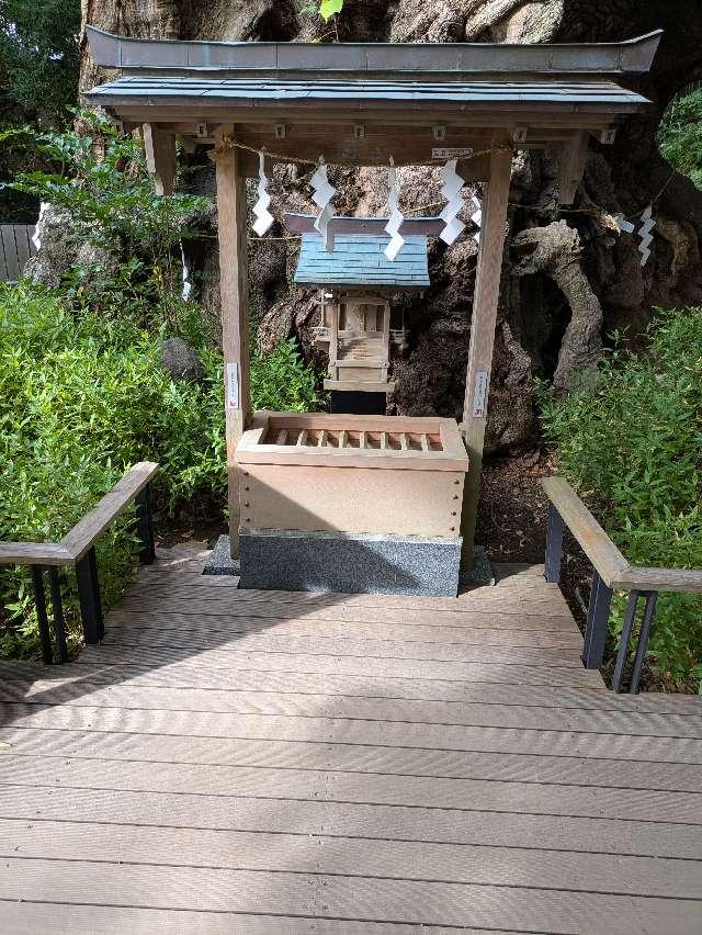 第一大楠　御神木（熱海來宮神社 境内 ）の参拝記録1