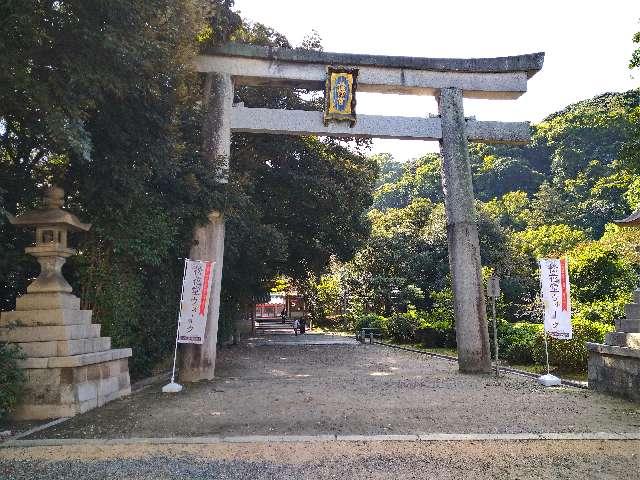 石清水八幡宮　一の鳥居の写真1