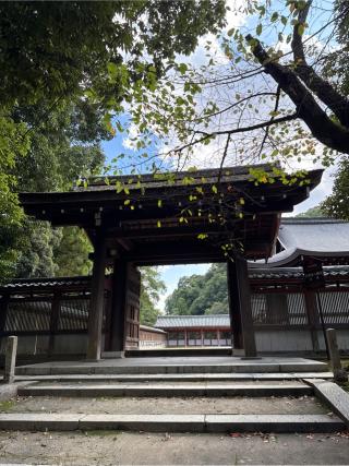 石清水八幡宮　神門の参拝記録(⛩️🎠🐢まめ🐢🎠⛩️さん)