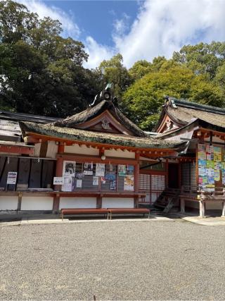 石清水八幡宮　神楽殿の参拝記録(⛩️🎠🐢まめ🐢🎠⛩️さん)