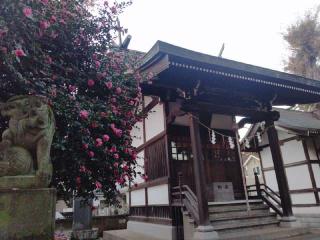 天満稲荷御両社（大澤八幡神社境内社）の参拝記録(miyumikoさん)