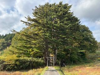 諏訪神社の参拝記録(shikigami_hさん)