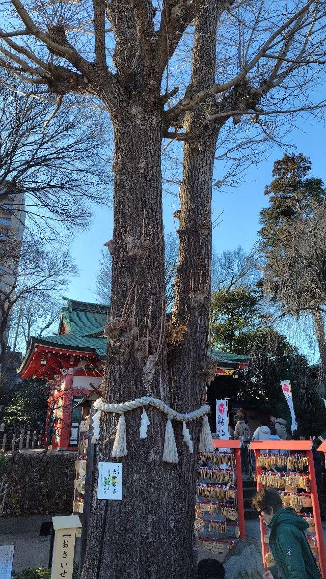 夫婦銀杏の参拝記録3