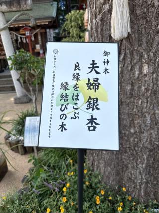 夫婦銀杏の参拝記録(⛩️🐍🐢まめ🐢🐍⛩️さん)