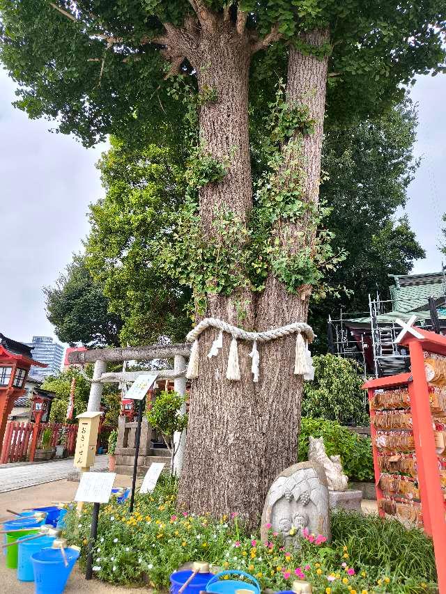 夫婦銀杏の参拝記録3