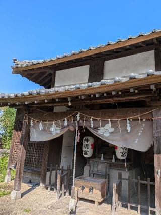 日霊神社の参拝記録(こまいぬおさん)