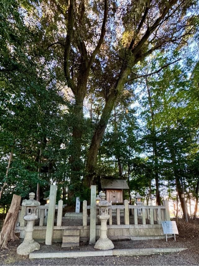 若宮八幡宮の参拝記録1