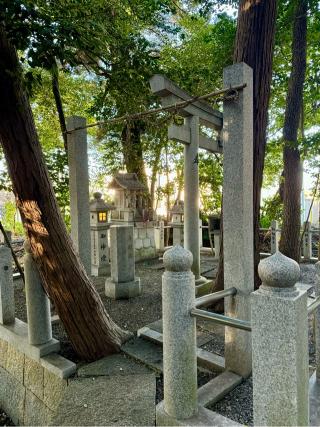 若宮八幡宮の参拝記録(qo_opさん)