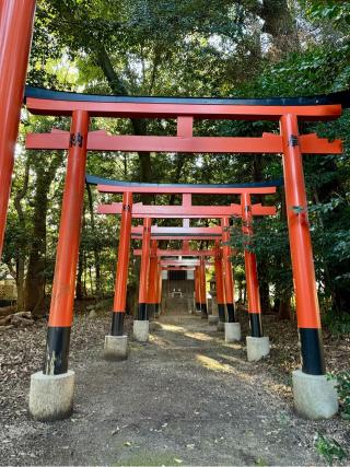 若宮八幡宮の参拝記録(qo_opさん)