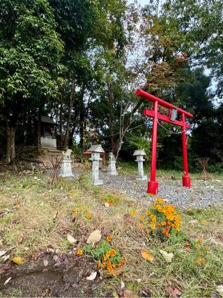 今宮戎神社の参拝記録(さくらさん)