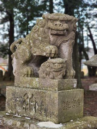 春日神社の参拝記録(たけちゃ～ん⚾さん)