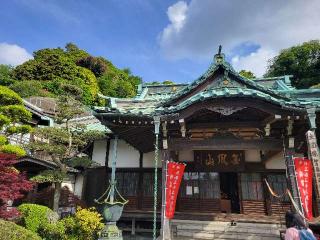 金鳳山 景徳寺の参拝記録(まっきーさん)