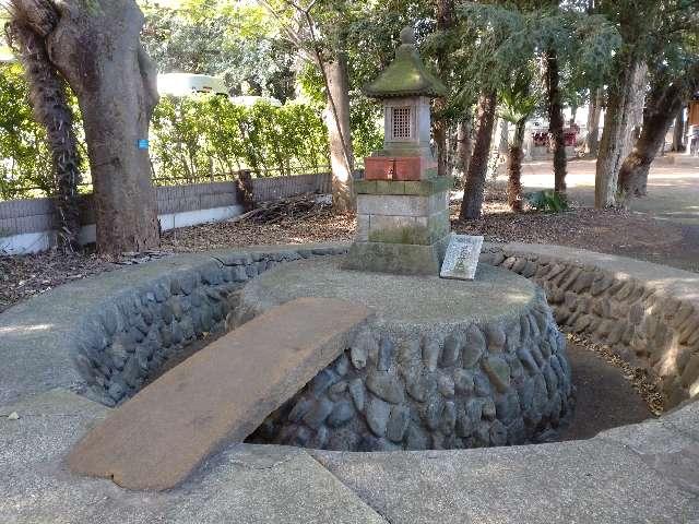 厳島神社（中嶋神社境内社）の写真1