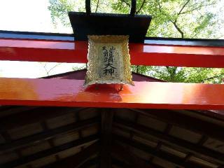 龍頭社(伏見神寳神社 境内摂社)の参拝記録(監督まっちゃんさん)