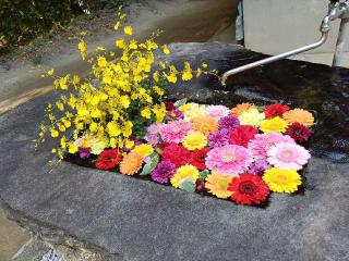 長石神社(宝満宮)の参拝記録(ゆみねえさん)