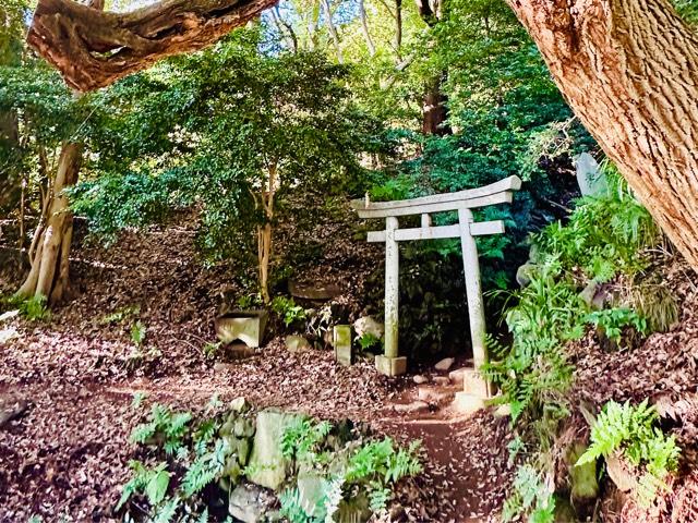 次郎稲荷神社の写真1