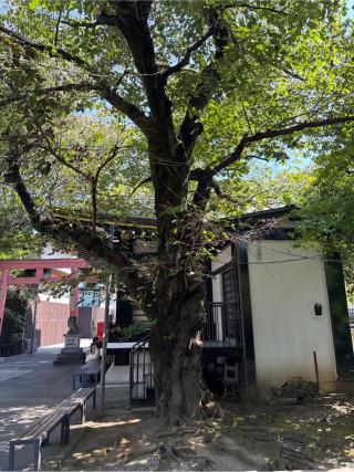 大鳥神社（須賀神社合殿）の参拝記録(⛩️🐍🐢まめ🐢🐍⛩️さん)