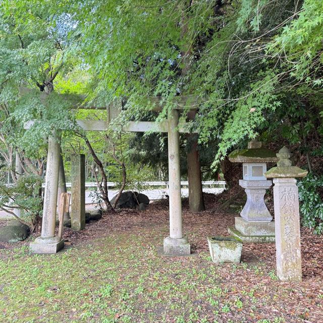 琴平神社の写真1