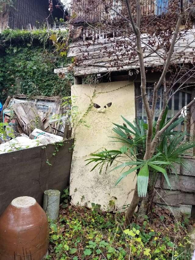 広島県尾道市東土堂町１９−２２ 福石猫神社の写真3