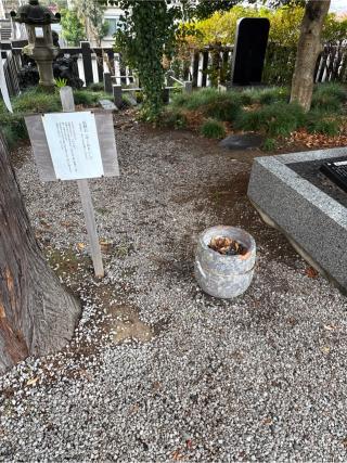 厄割石（宮戸神社）の参拝記録(⛩️🎠🐢まめ🐢🎠⛩️さん)