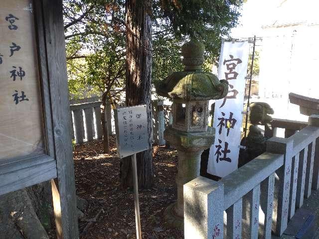 御神木（宮戸神社）の参拝記録1