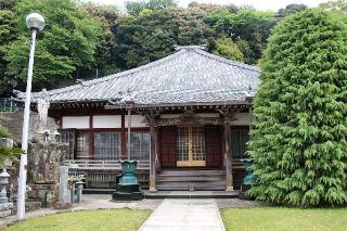 信楽寺の参拝記録(狛猫さん)