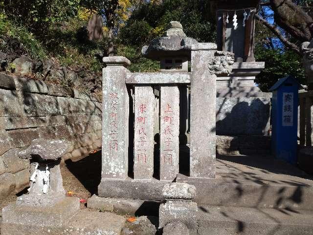 田子山富士浅間神社（敷島神社境内社）の参拝記録1