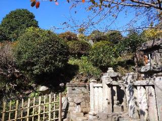 田子山富士浅間神社（敷島神社境内社）の参拝記録(りゅうじさん)