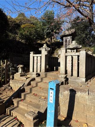 田子山富士浅間神社（敷島神社境内社）の参拝記録(⛩️🐍🐢まめ🐢🐍⛩️さん)