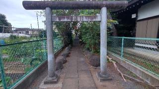 御霊神社（伊豆美神社境内社）の参拝記録(まっちゃんさん)