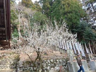 英彦山神宮　下津宮の参拝記録(ゆみねえさん)