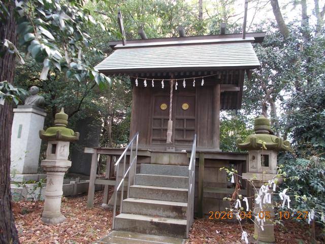 埼玉県上尾市二ツ宮866 豊稔神社（上尾二ツ宮氷川神社境内）の写真3