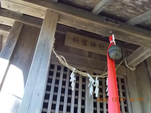 埼玉県越谷市増林4232 秋葉神社（香取神社境内）の写真2