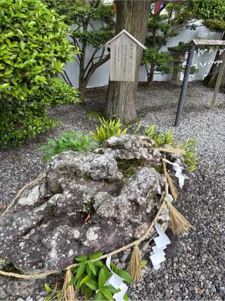 たから石の参拝記録(⛩️🎠🐢まめ🐢🎠⛩️さん)