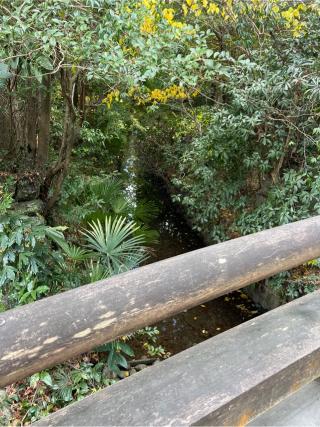 火除橋の参拝記録(⛩️🐍🐢まめ🐢🐍⛩️さん)