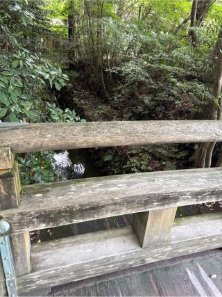 火除橋の参拝記録(⛩️🎠🐢まめ🐢🎠⛩️さん)