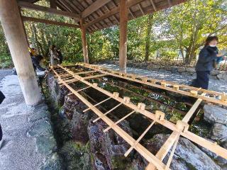 手水舎の参拝記録(Y.1966.Sさん)