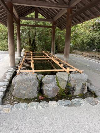 手水舎の参拝記録(⛩️🐍🐢まめ🐢🐍⛩️さん)