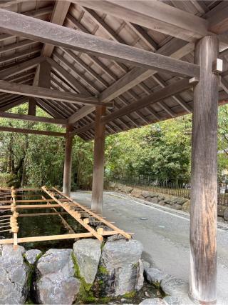 手水舎の参拝記録(⛩️🐍🐢まめ🐢🐍⛩️さん)